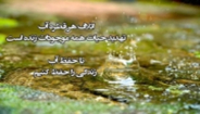حفظ محیط زیست